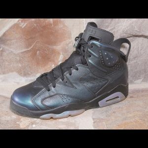 Jordan 6 “chameleon”